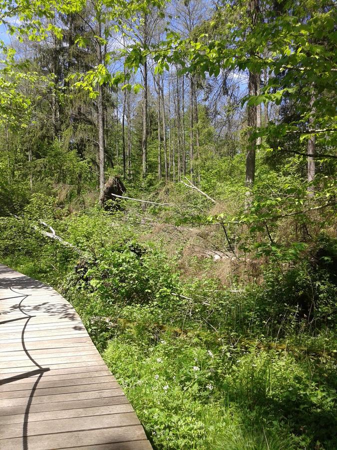 Cztery Pory Roku Guest House Białowieża Eksteriør bilde
