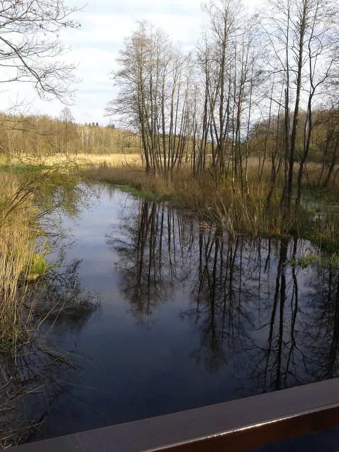 Cztery Pory Roku Guest House Białowieża Eksteriør bilde