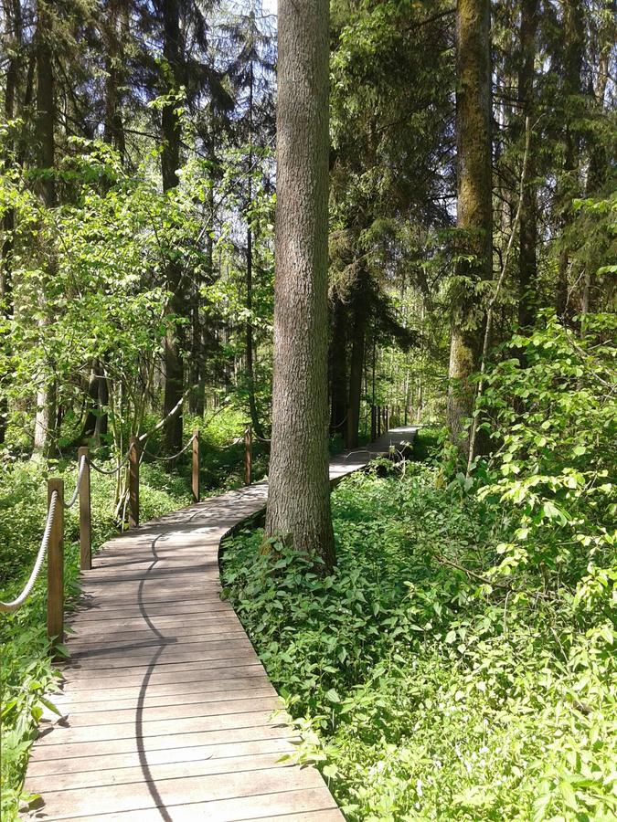 Cztery Pory Roku Guest House Białowieża Eksteriør bilde